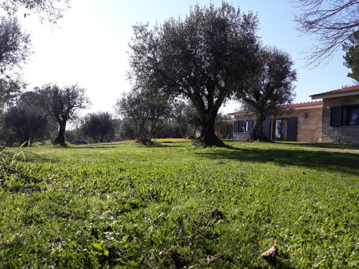 Quinta Da Pedra Mija Guest House Santar ภายนอก รูปภาพ