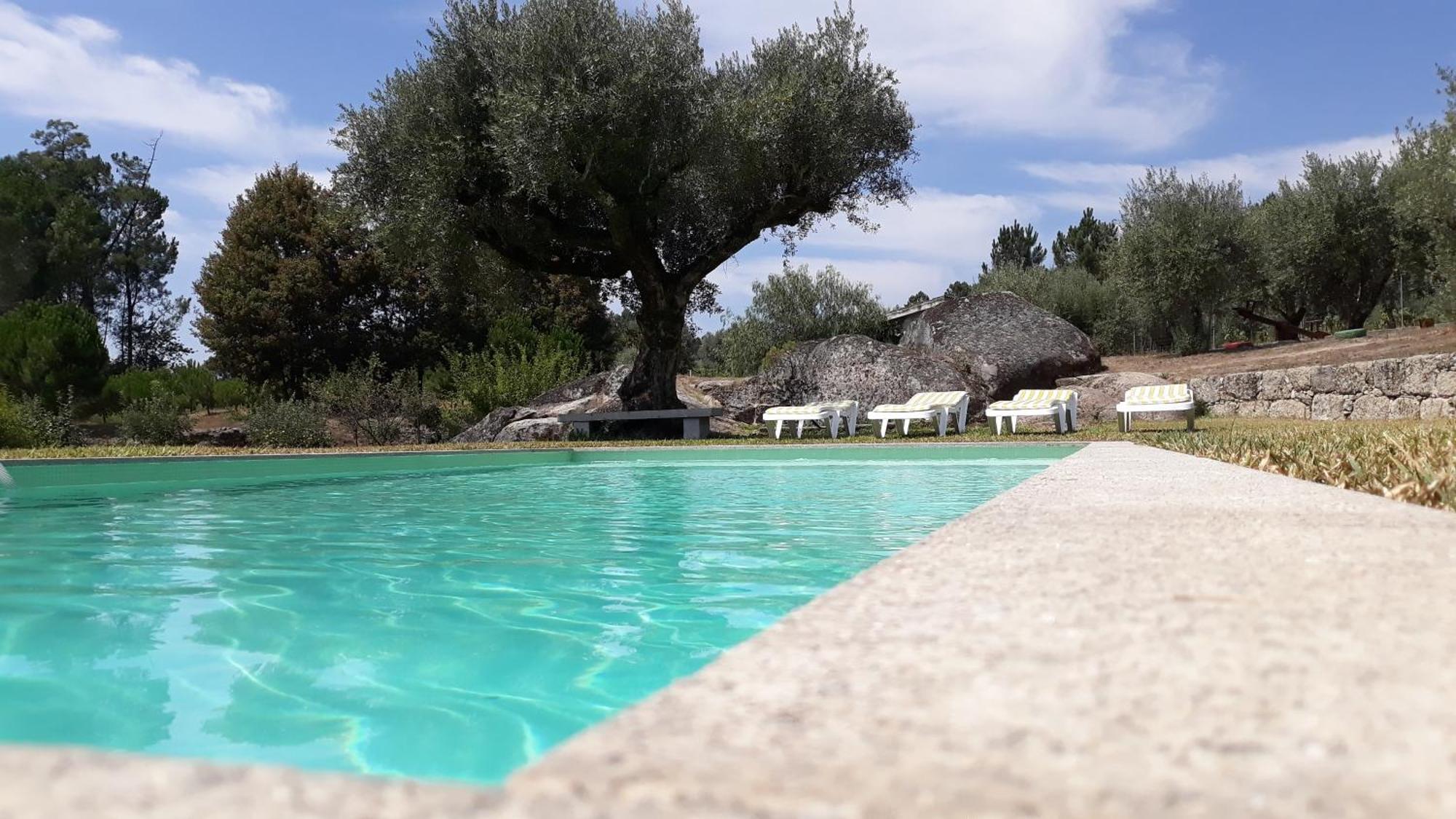 Quinta Da Pedra Mija Guest House Santar ภายนอก รูปภาพ