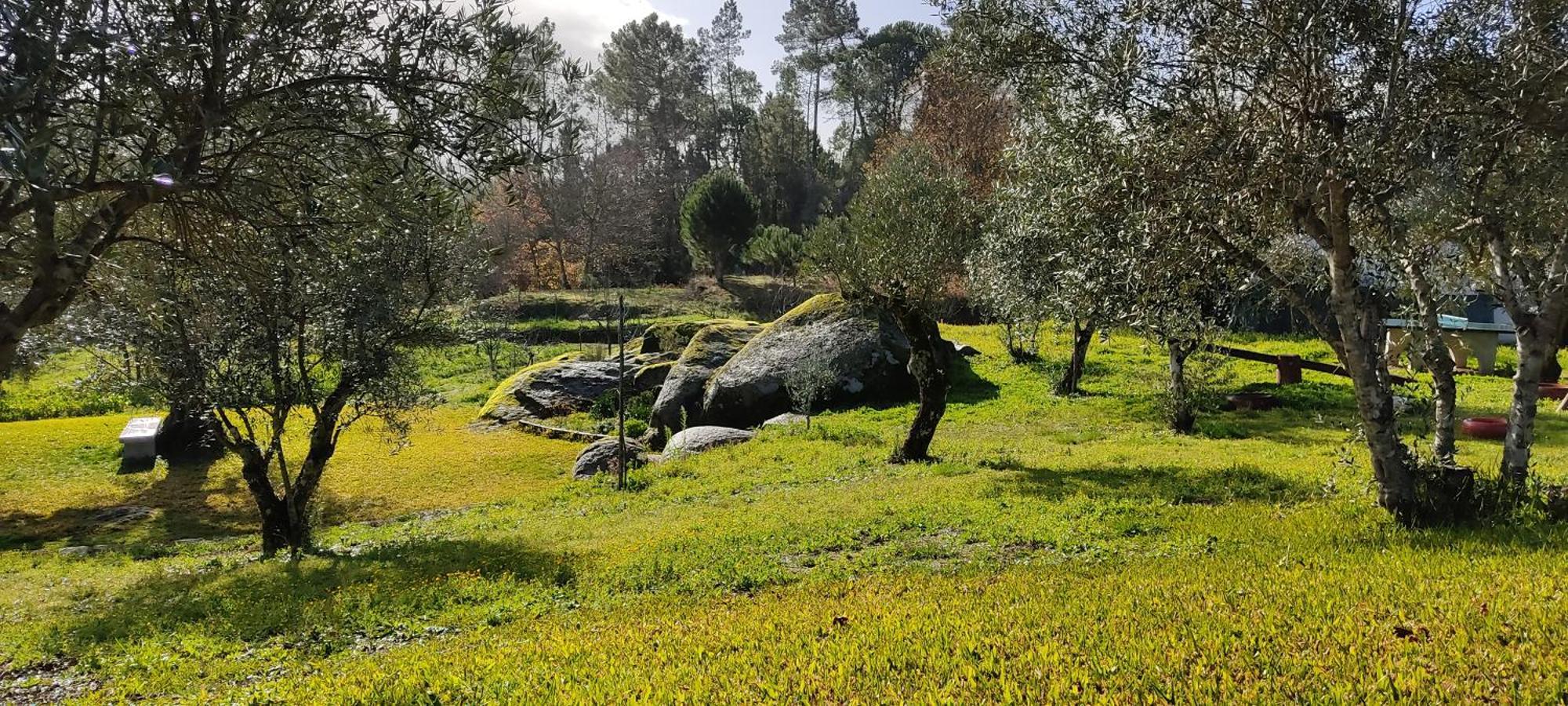 Quinta Da Pedra Mija Guest House Santar ภายนอก รูปภาพ