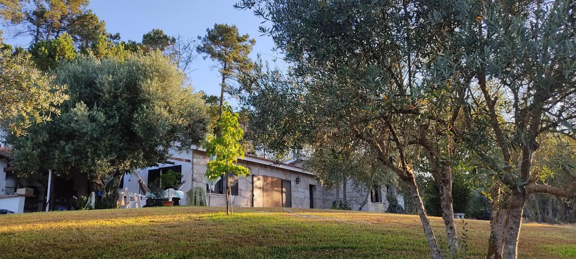 Quinta Da Pedra Mija Guest House Santar ภายนอก รูปภาพ