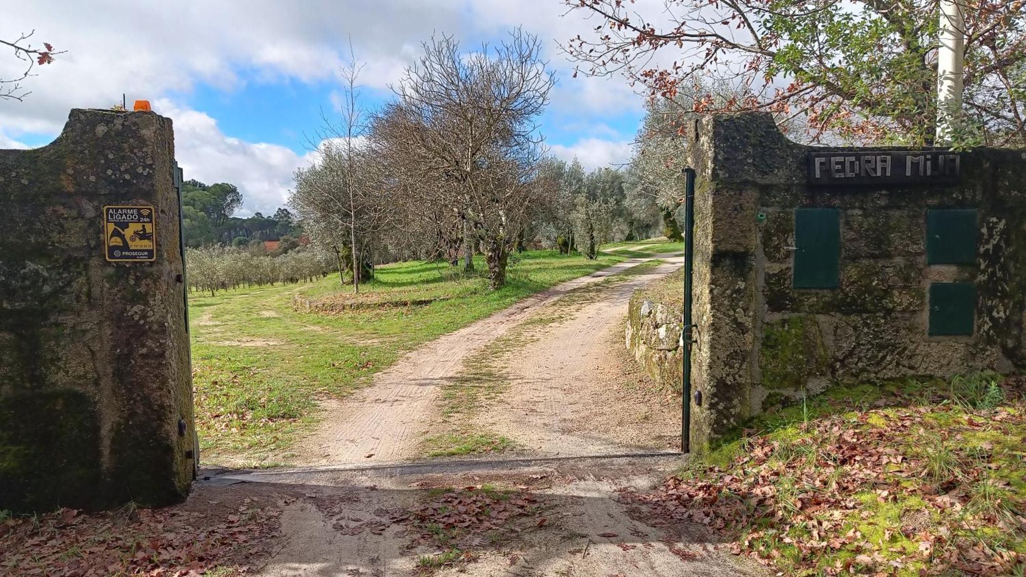 Quinta Da Pedra Mija Guest House Santar ภายนอก รูปภาพ