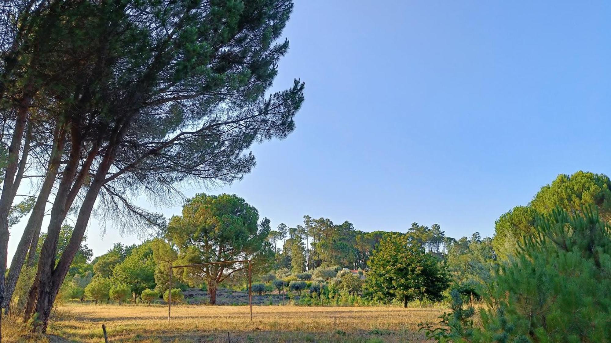 Quinta Da Pedra Mija Guest House Santar ภายนอก รูปภาพ