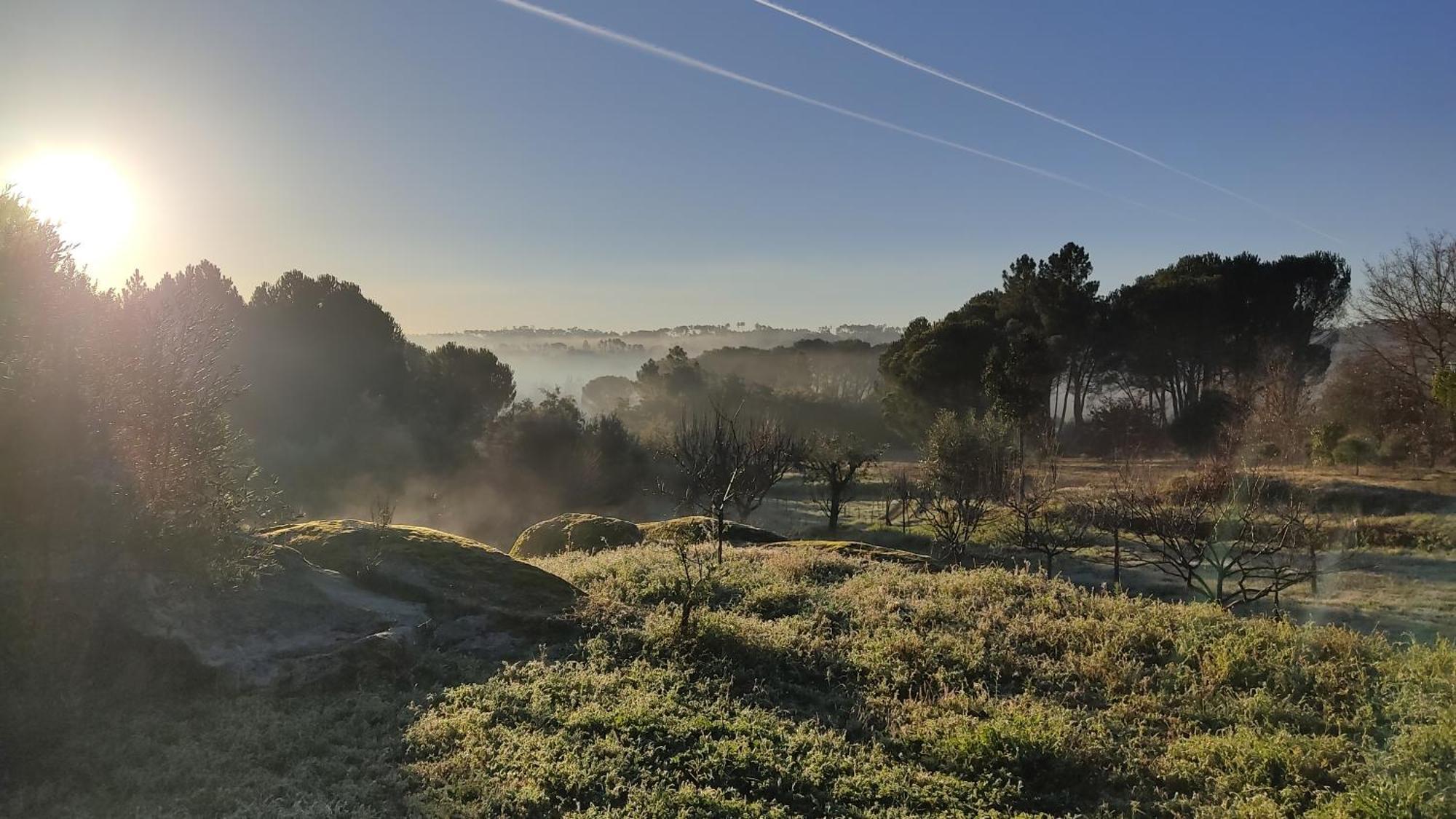 Quinta Da Pedra Mija Guest House Santar ภายนอก รูปภาพ