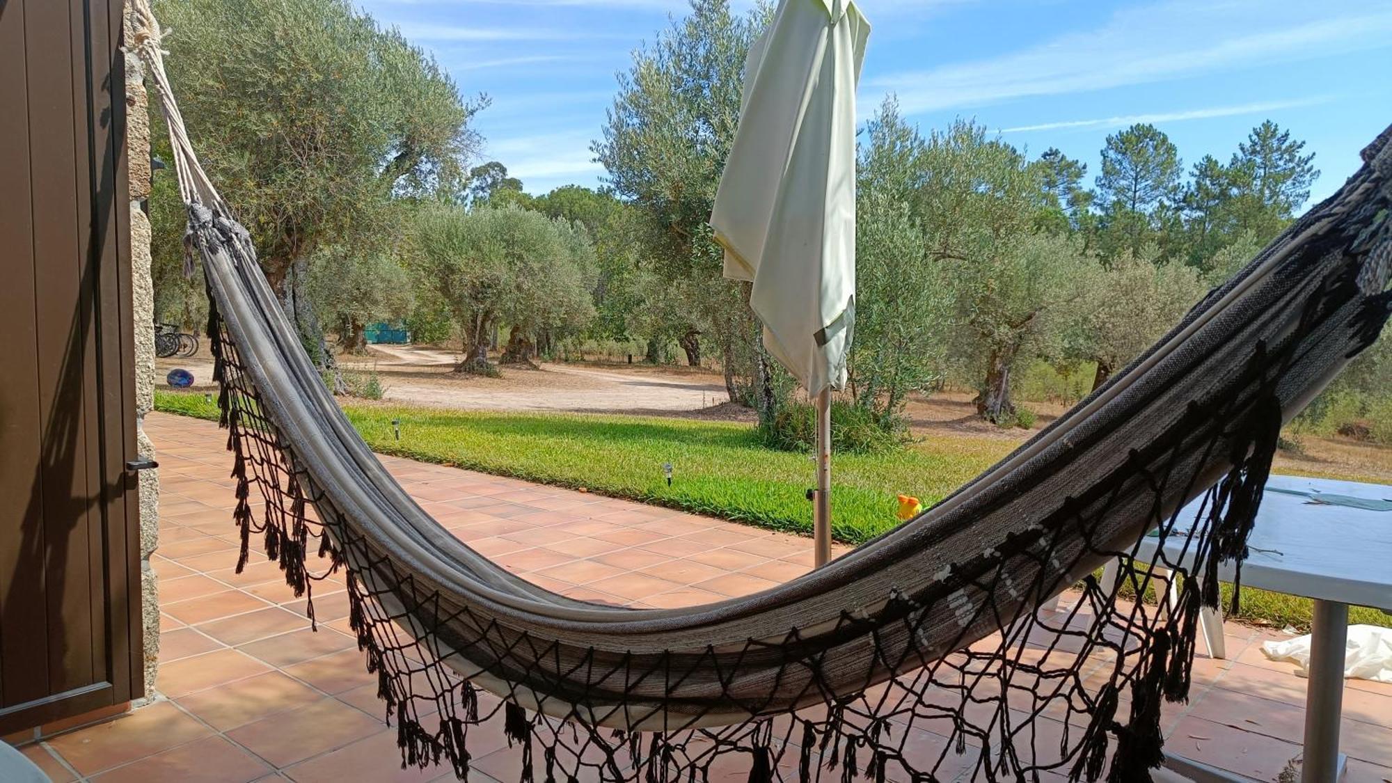 Quinta Da Pedra Mija Guest House Santar ภายนอก รูปภาพ