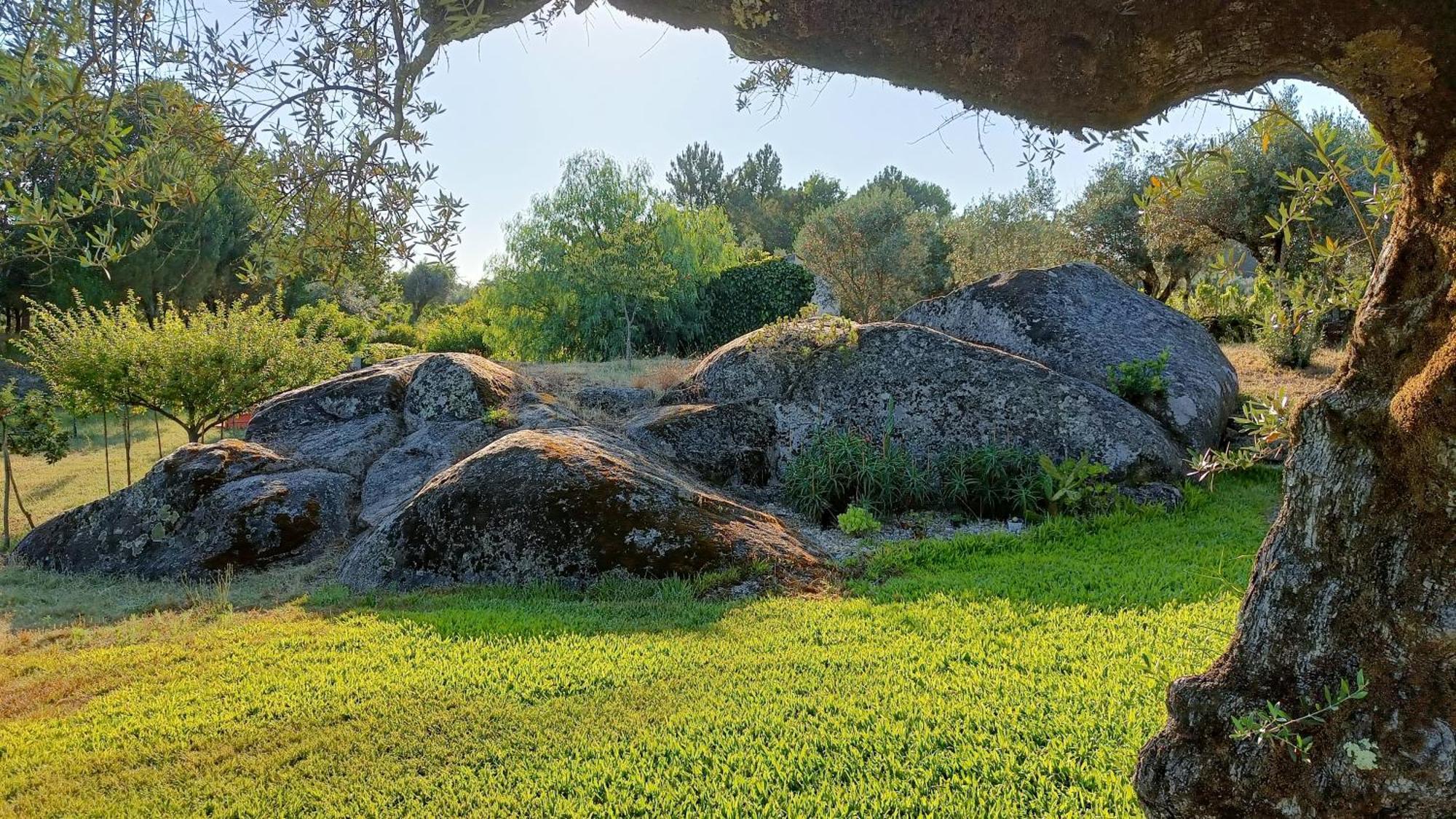 Quinta Da Pedra Mija Guest House Santar ภายนอก รูปภาพ