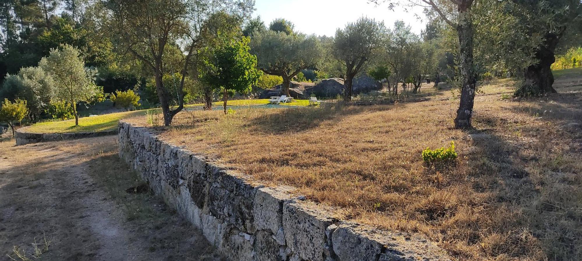Quinta Da Pedra Mija Guest House Santar ภายนอก รูปภาพ