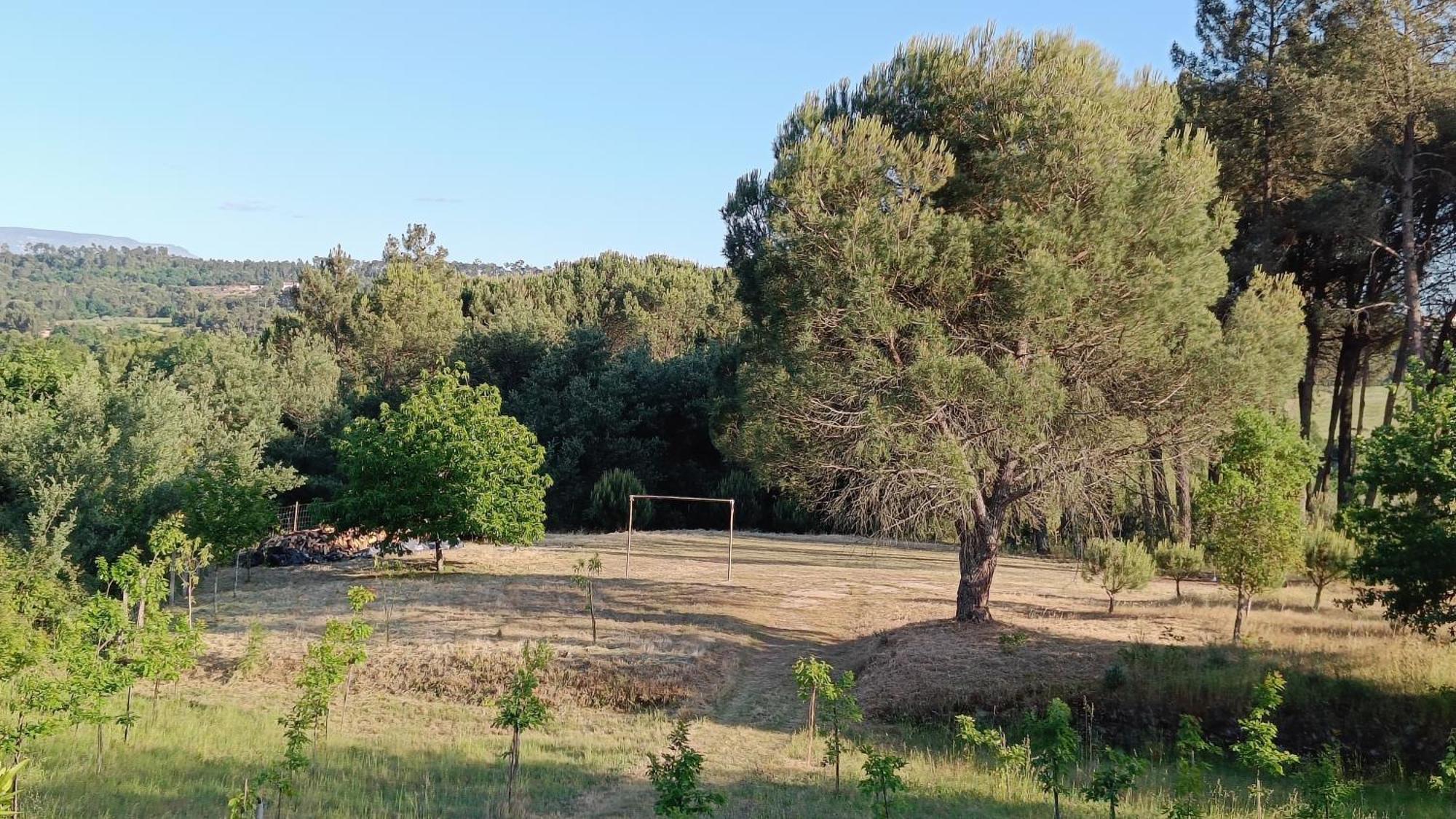 Quinta Da Pedra Mija Guest House Santar ภายนอก รูปภาพ