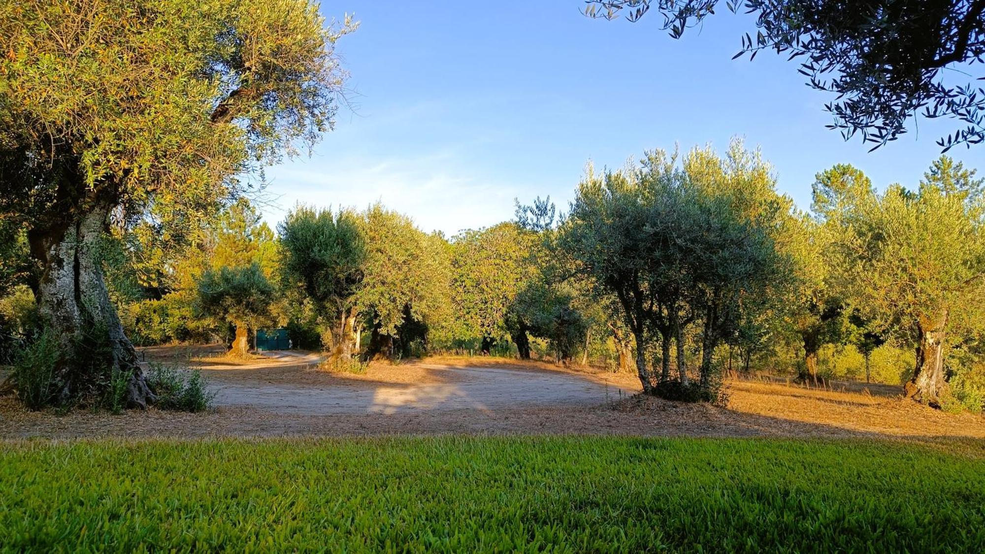 Quinta Da Pedra Mija Guest House Santar ภายนอก รูปภาพ