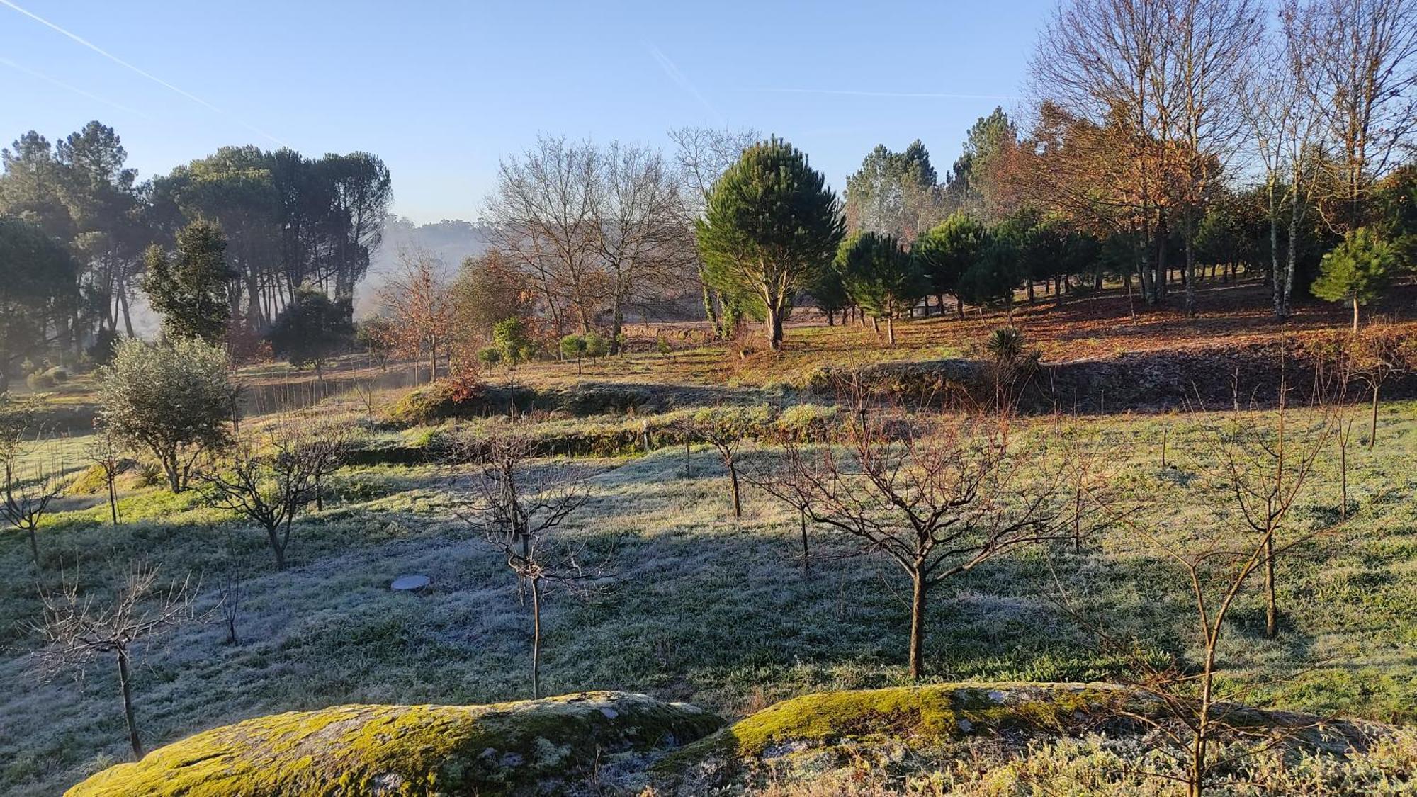 Quinta Da Pedra Mija Guest House Santar ภายนอก รูปภาพ
