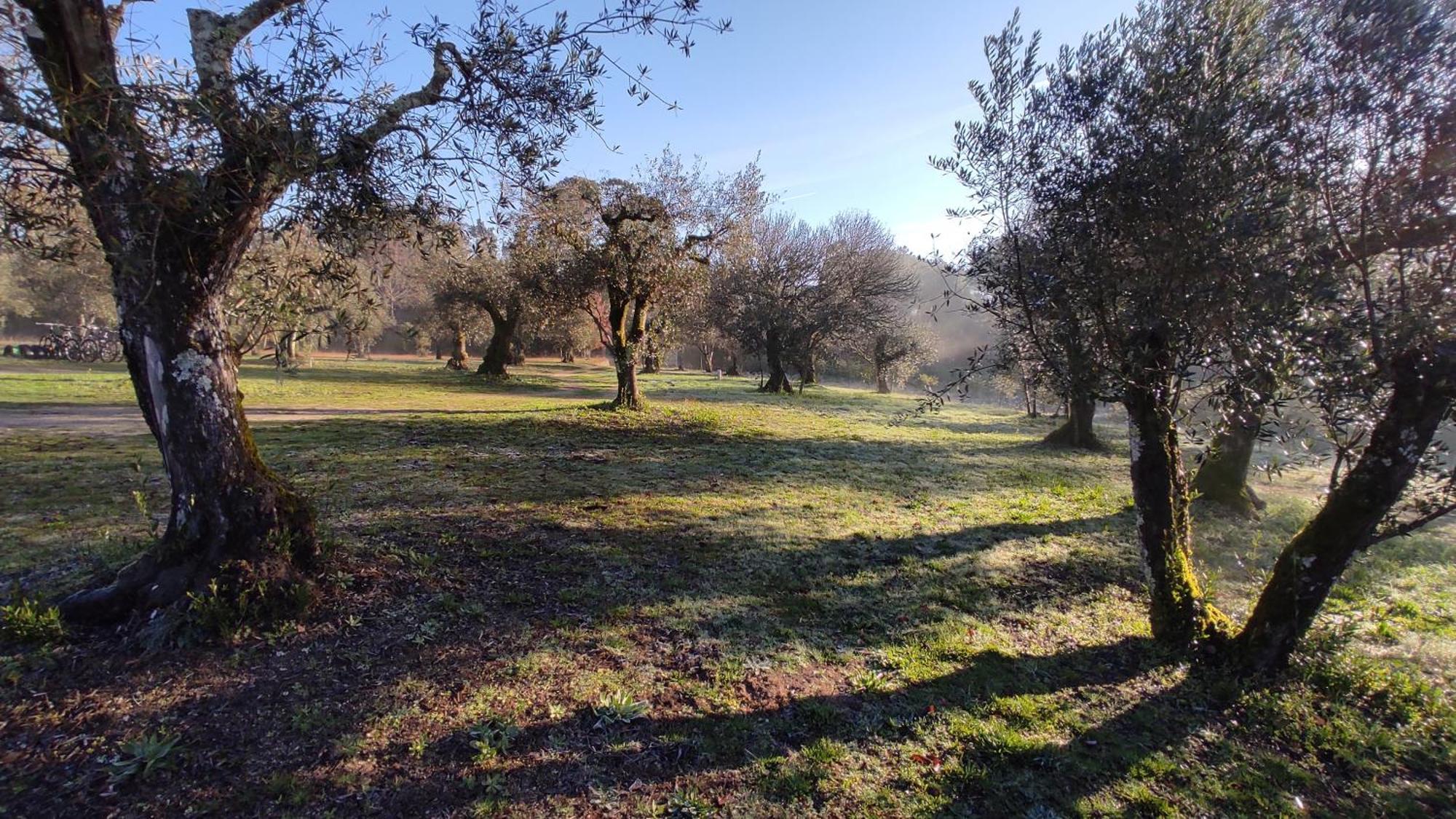 Quinta Da Pedra Mija Guest House Santar ภายนอก รูปภาพ