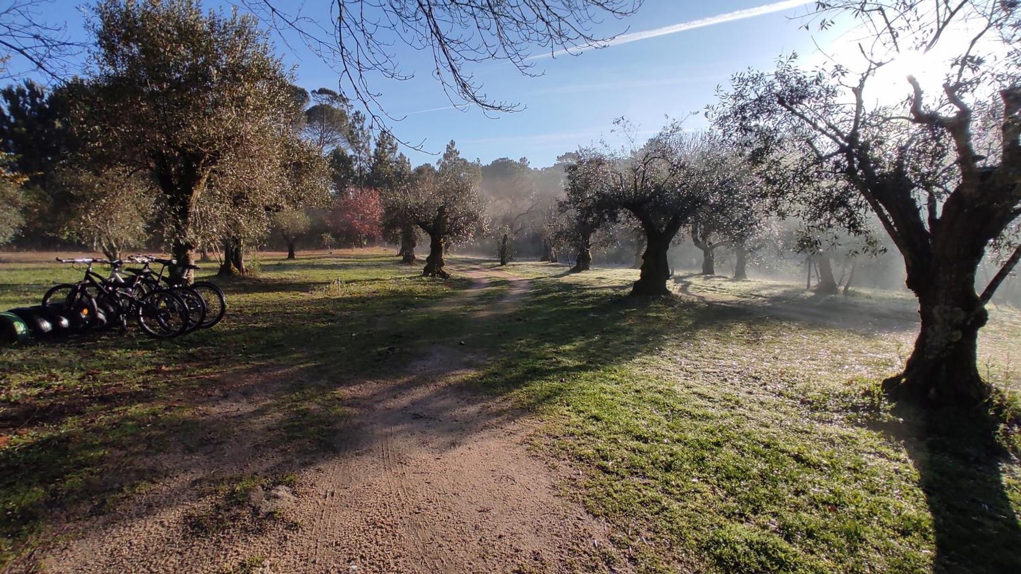 Quinta Da Pedra Mija Guest House Santar ภายนอก รูปภาพ