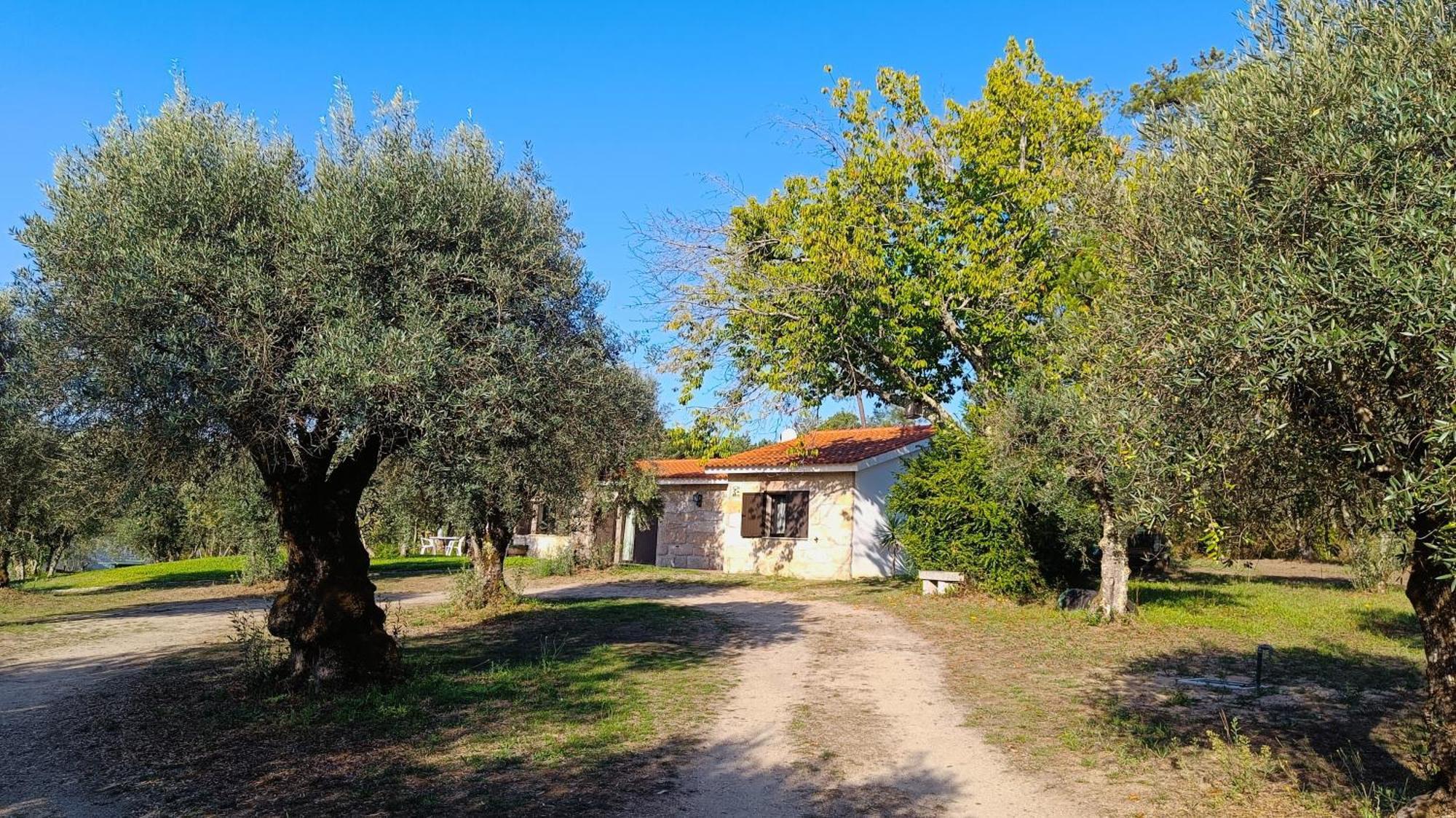 Quinta Da Pedra Mija Guest House Santar ภายนอก รูปภาพ