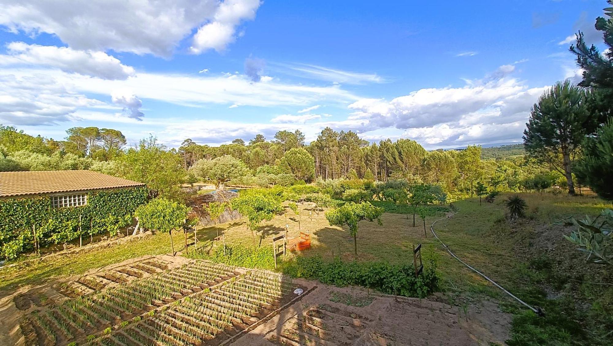 Quinta Da Pedra Mija Guest House Santar ภายนอก รูปภาพ