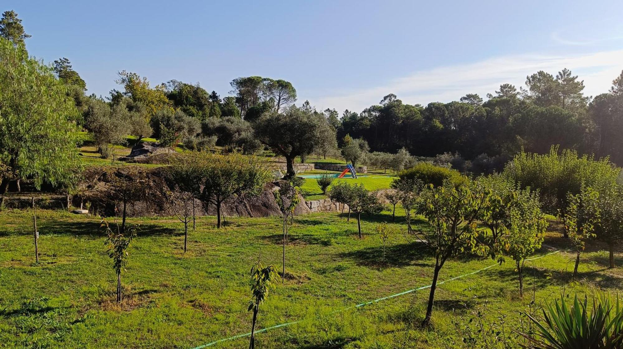 Quinta Da Pedra Mija Guest House Santar ภายนอก รูปภาพ