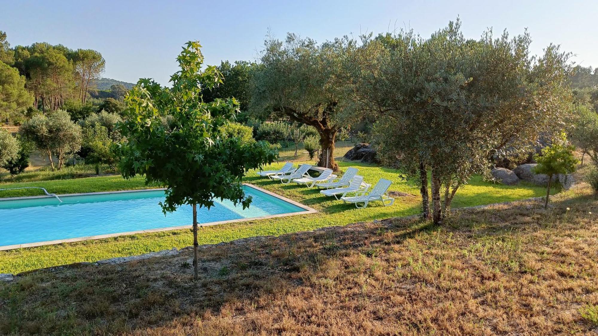 Quinta Da Pedra Mija Guest House Santar ภายนอก รูปภาพ