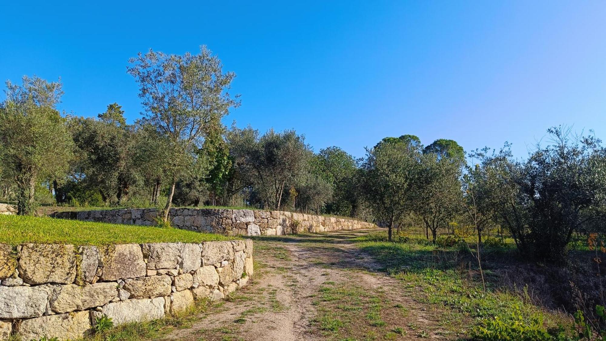 Quinta Da Pedra Mija Guest House Santar ภายนอก รูปภาพ