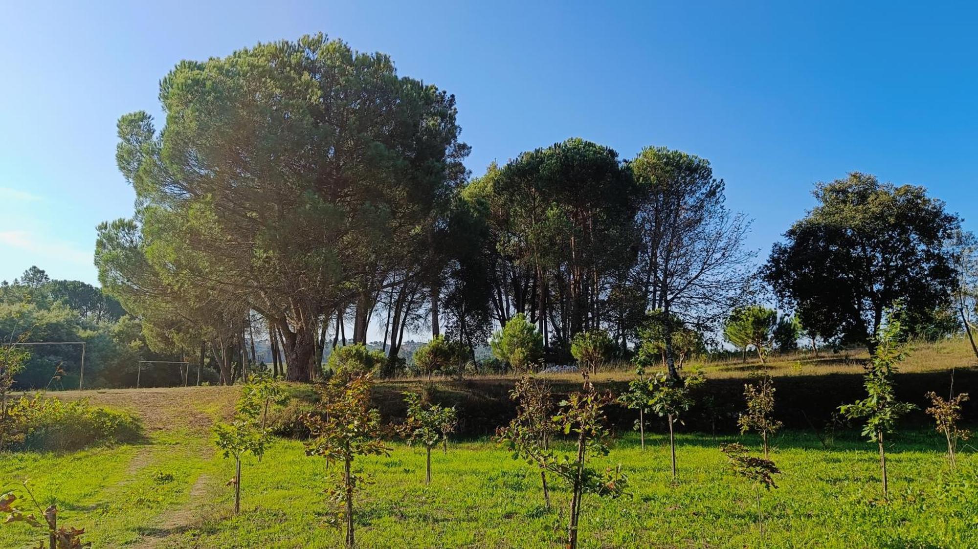 Quinta Da Pedra Mija Guest House Santar ภายนอก รูปภาพ