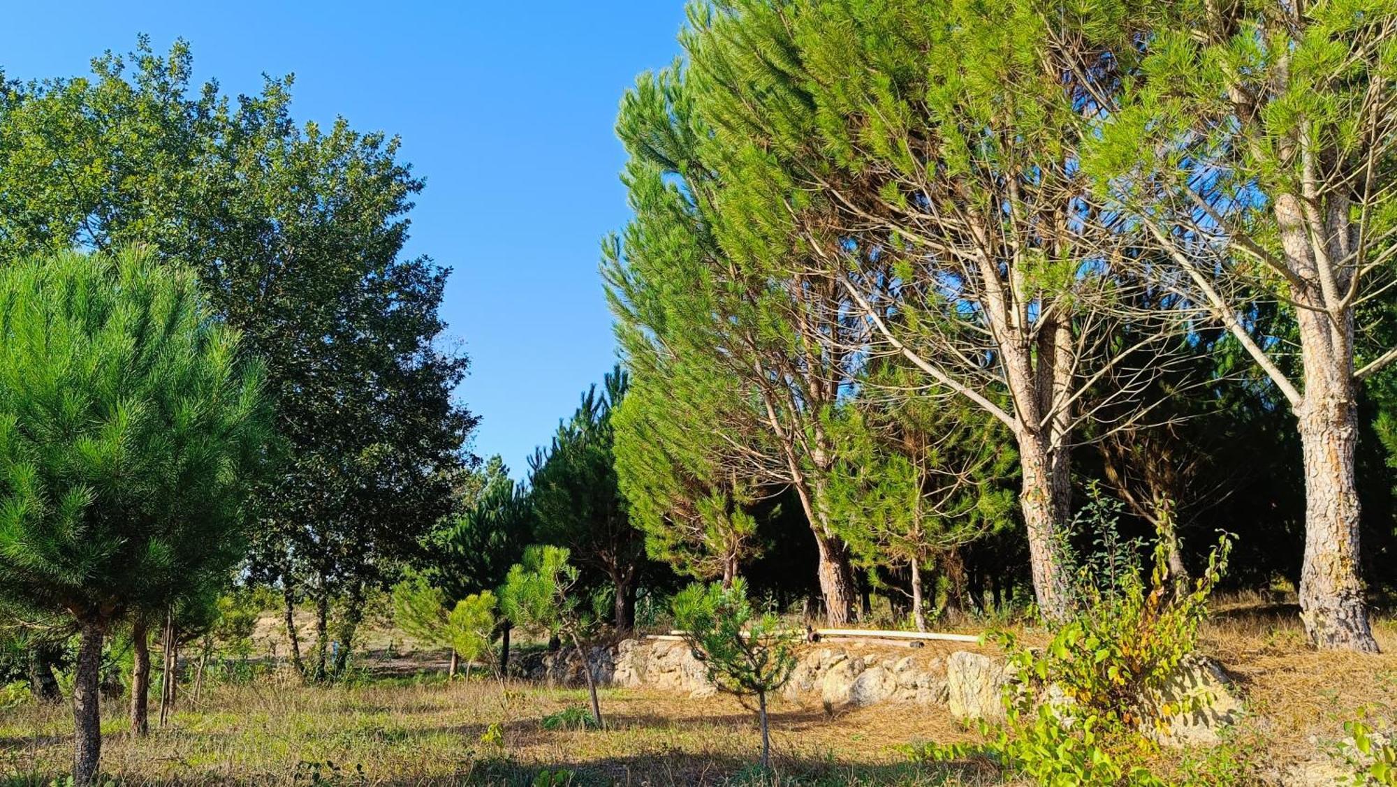 Quinta Da Pedra Mija Guest House Santar ภายนอก รูปภาพ