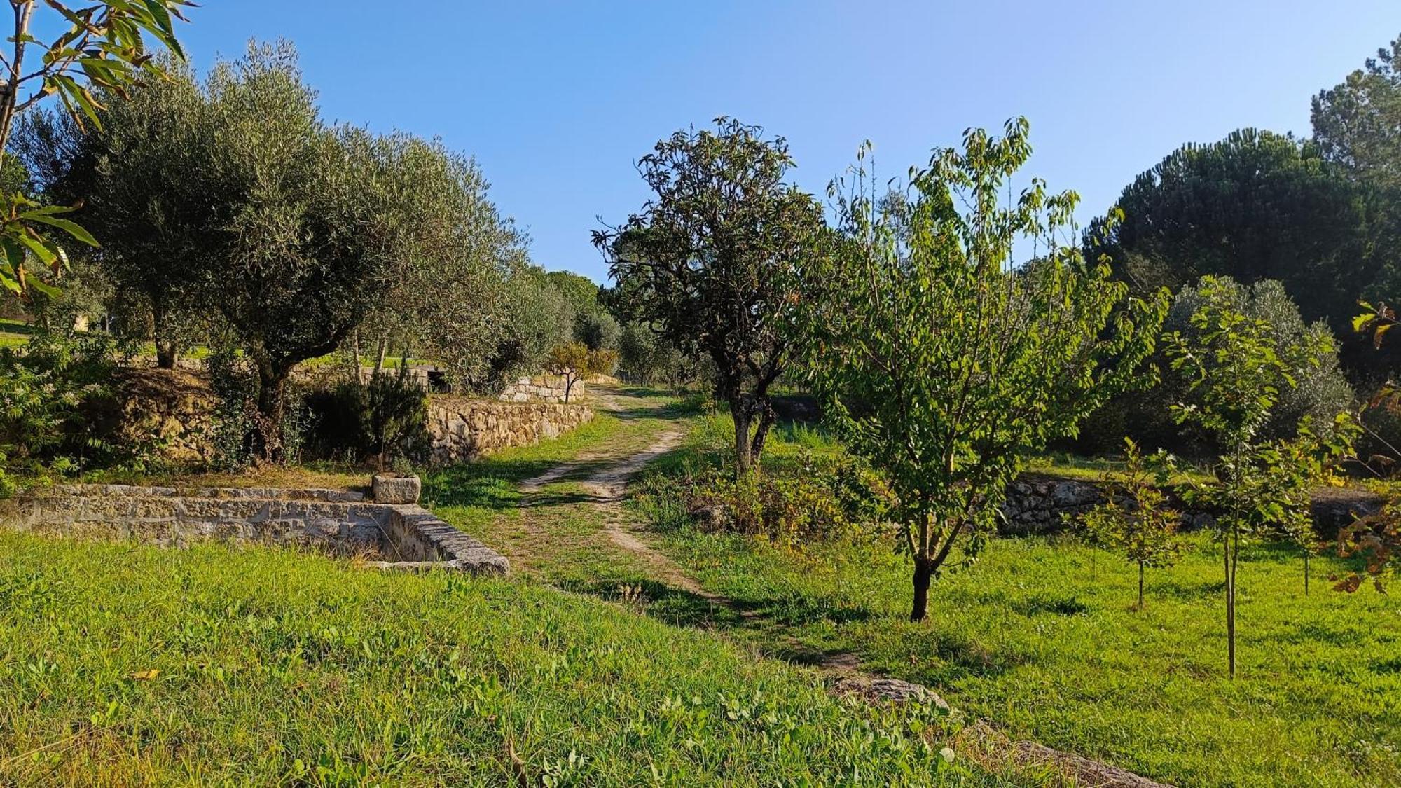 Quinta Da Pedra Mija Guest House Santar ภายนอก รูปภาพ