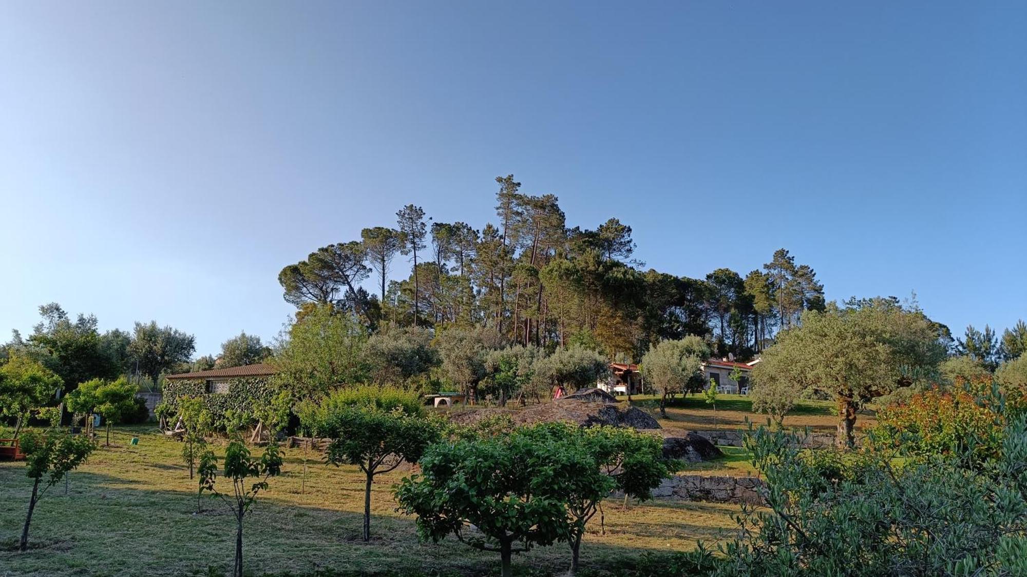 Quinta Da Pedra Mija Guest House Santar ภายนอก รูปภาพ