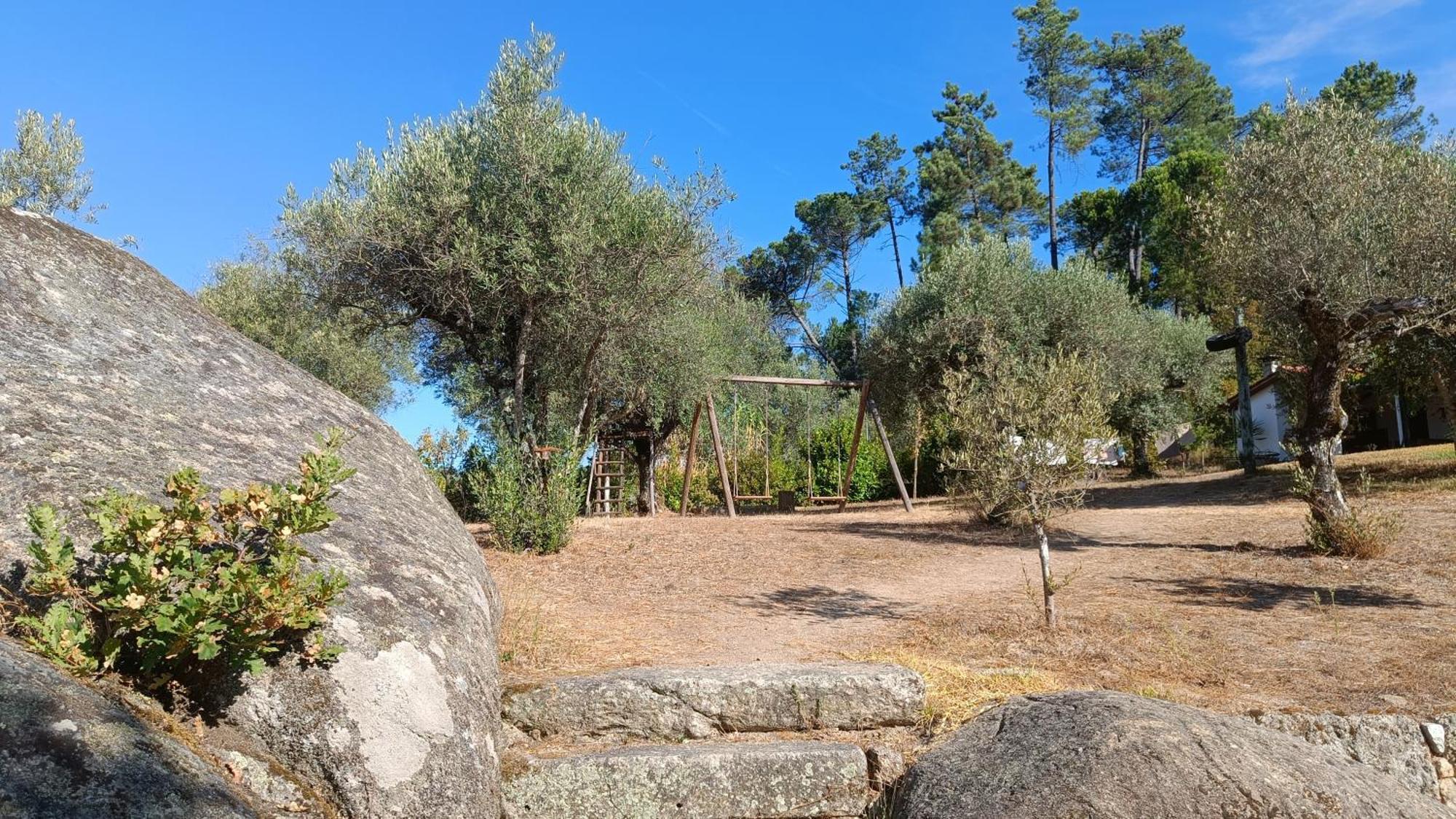 Quinta Da Pedra Mija Guest House Santar ภายนอก รูปภาพ