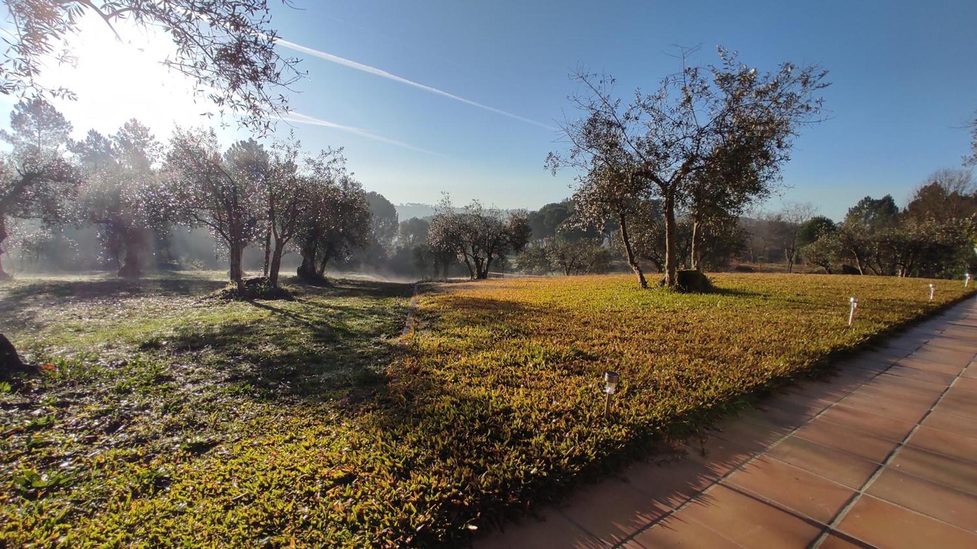 Quinta Da Pedra Mija Guest House Santar ภายนอก รูปภาพ