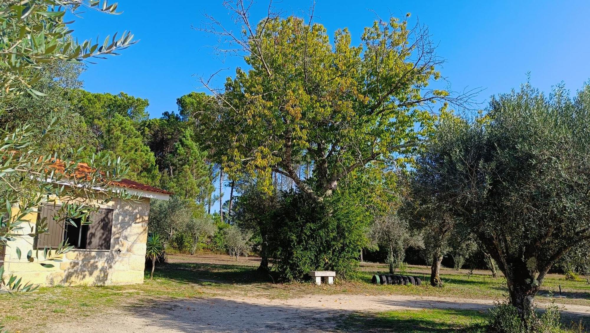 Quinta Da Pedra Mija Guest House Santar ภายนอก รูปภาพ