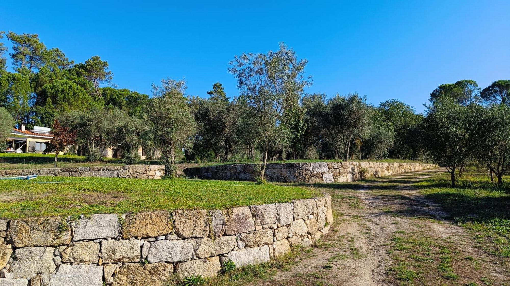 Quinta Da Pedra Mija Guest House Santar ภายนอก รูปภาพ