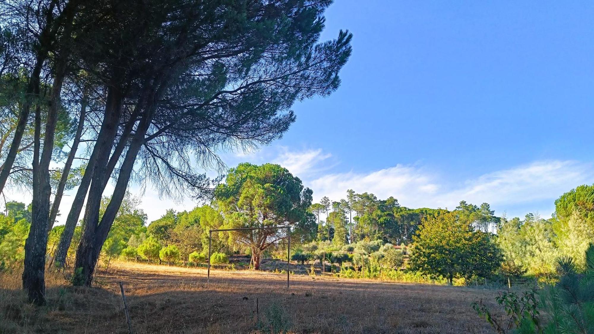 Quinta Da Pedra Mija Guest House Santar ภายนอก รูปภาพ