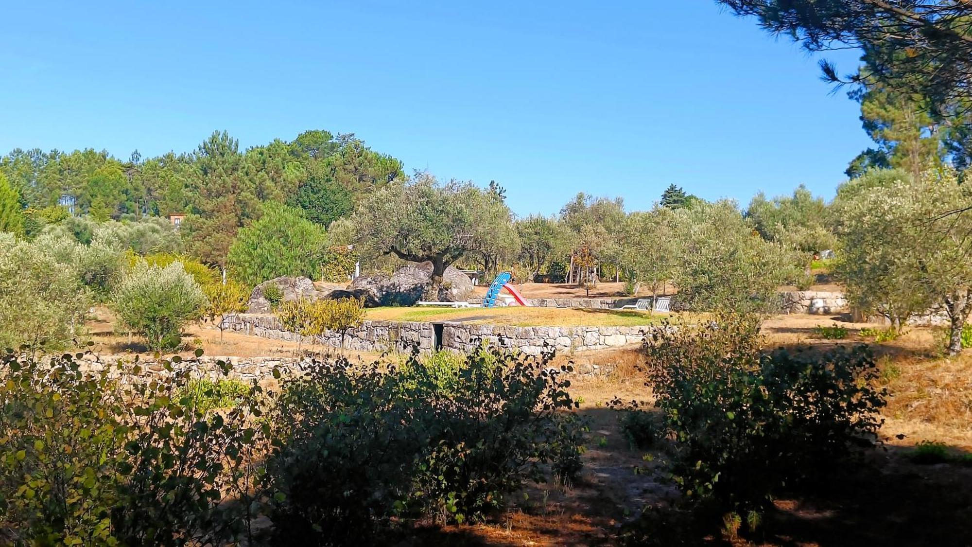 Quinta Da Pedra Mija Guest House Santar ภายนอก รูปภาพ