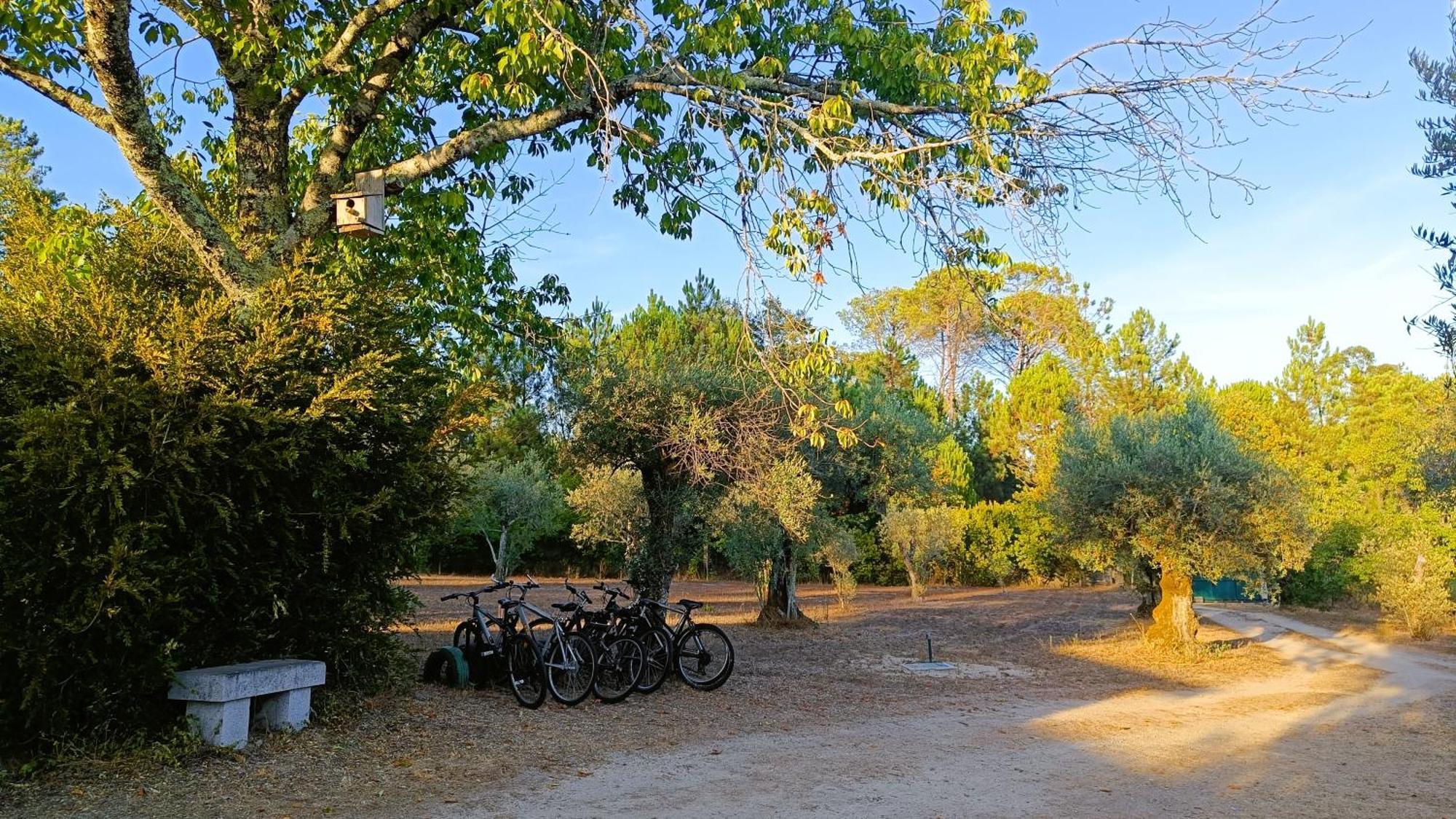 Quinta Da Pedra Mija Guest House Santar ภายนอก รูปภาพ