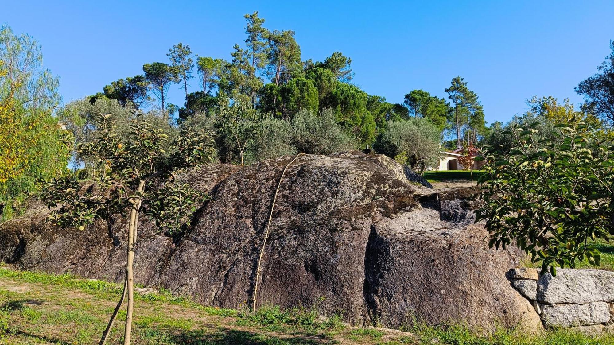 Quinta Da Pedra Mija Guest House Santar ภายนอก รูปภาพ