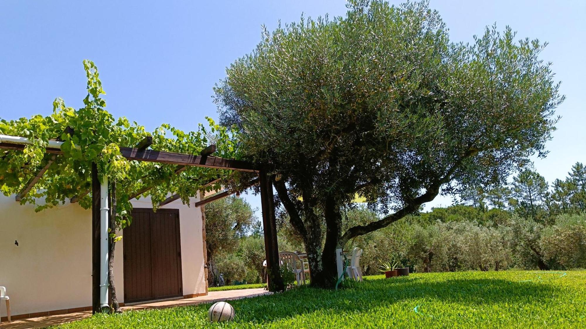 Quinta Da Pedra Mija Guest House Santar ภายนอก รูปภาพ