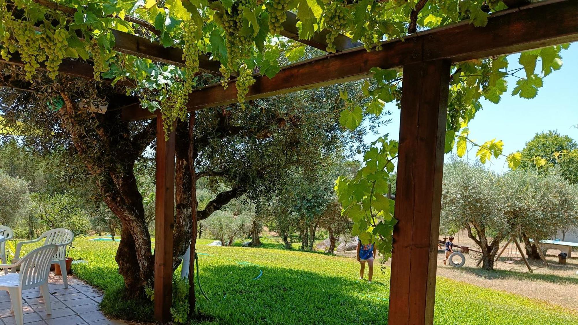 Quinta Da Pedra Mija Guest House Santar ภายนอก รูปภาพ
