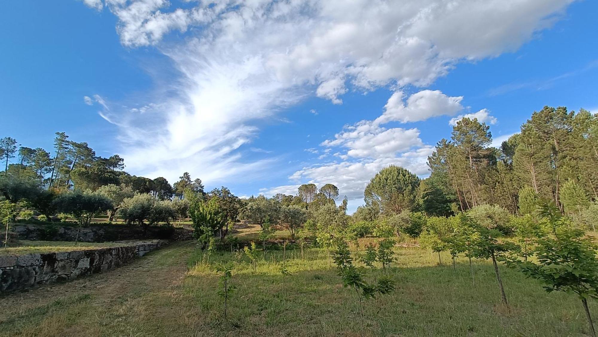 Quinta Da Pedra Mija Guest House Santar ภายนอก รูปภาพ