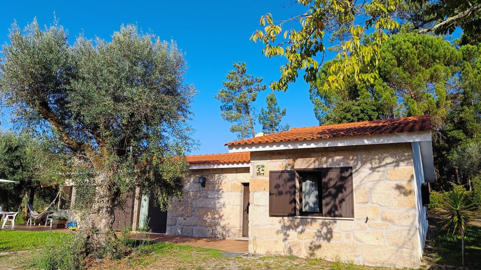 Quinta Da Pedra Mija Guest House Santar ภายนอก รูปภาพ