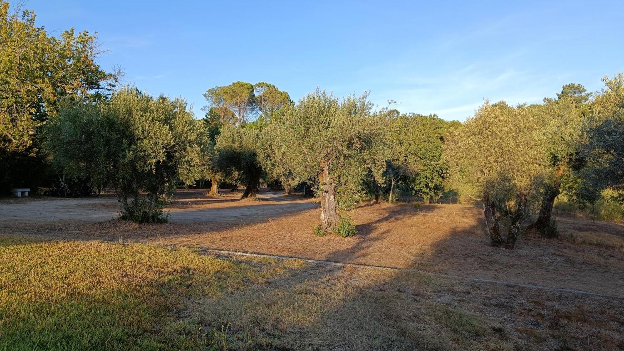 Quinta Da Pedra Mija Guest House Santar ภายนอก รูปภาพ