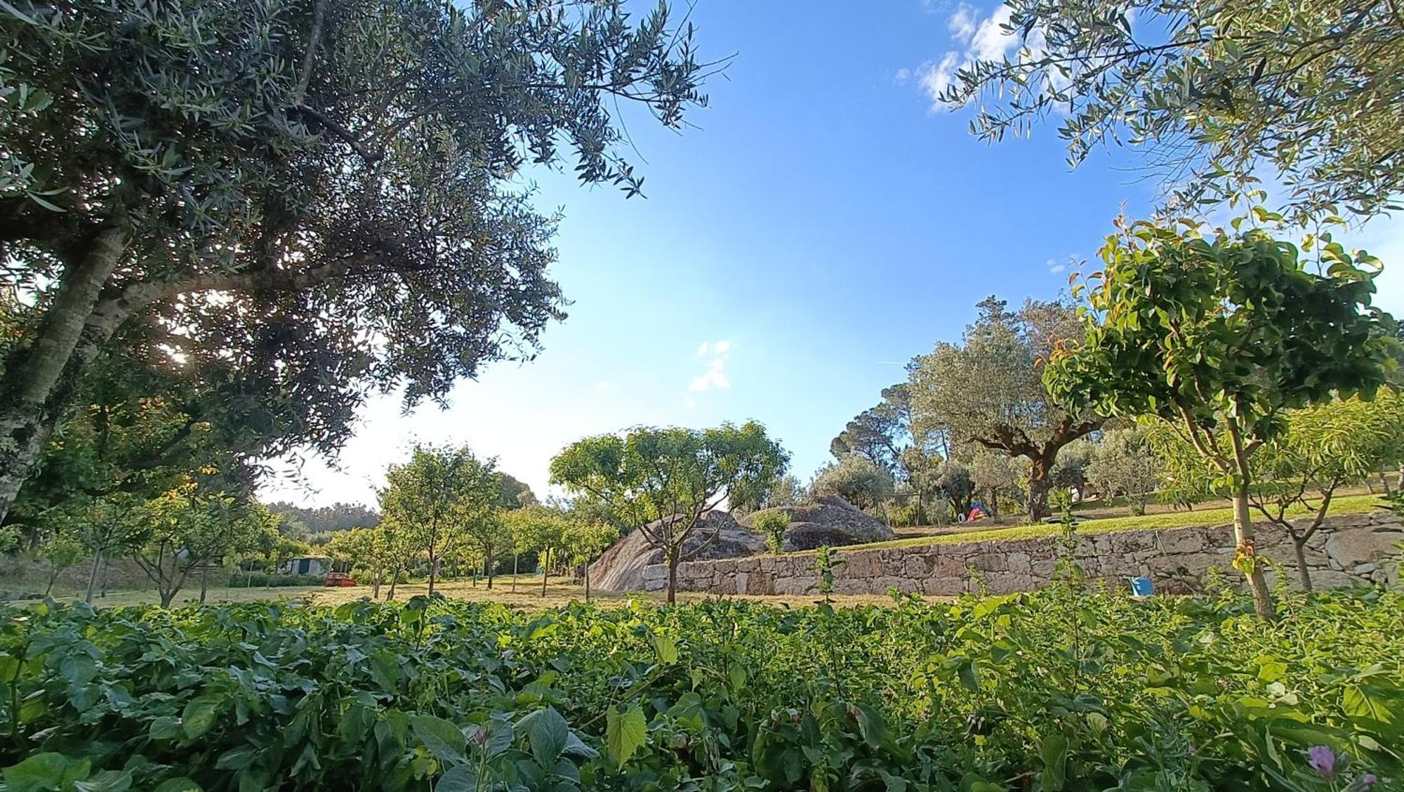 Quinta Da Pedra Mija Guest House Santar ภายนอก รูปภาพ