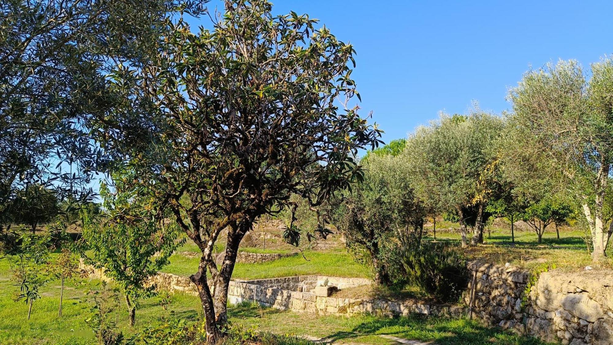 Quinta Da Pedra Mija Guest House Santar ภายนอก รูปภาพ