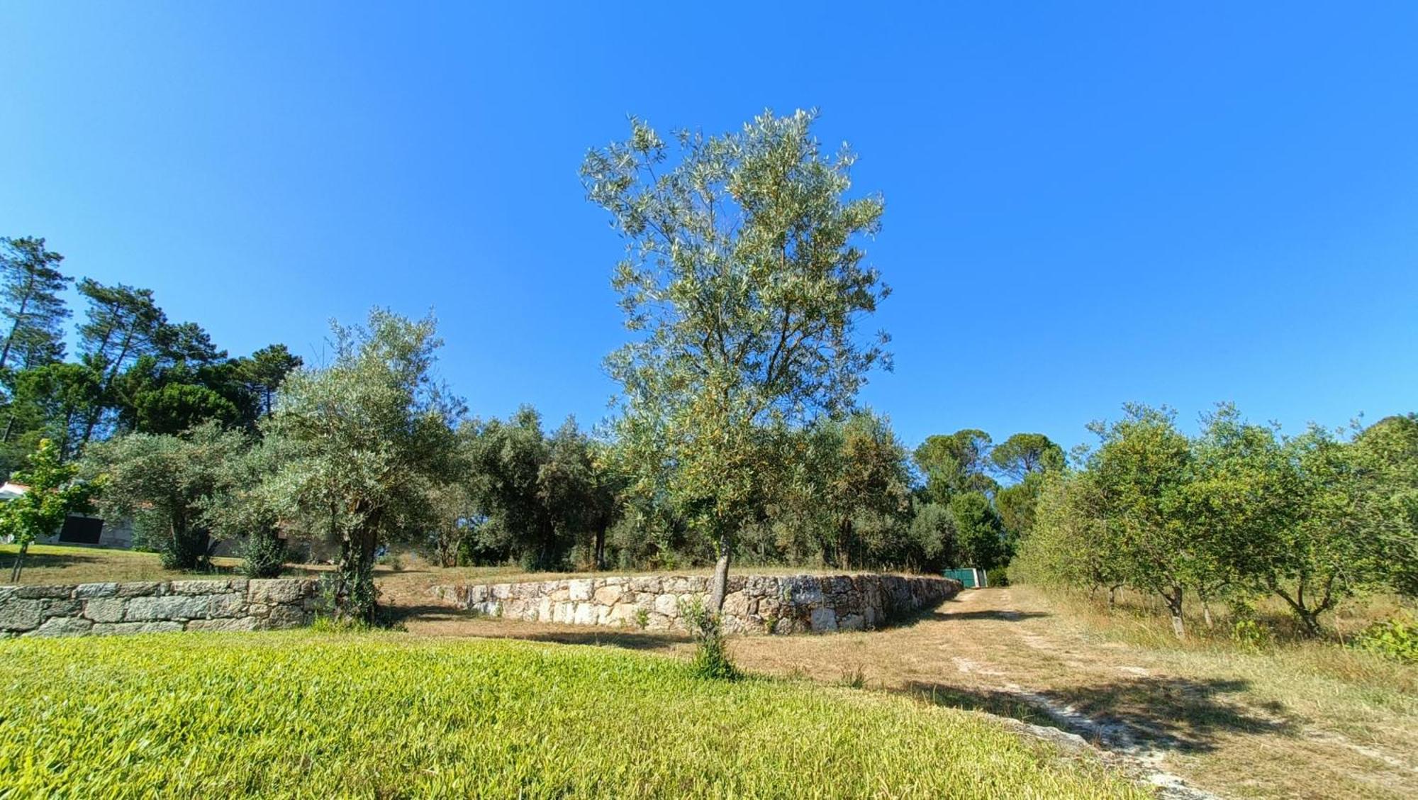 Quinta Da Pedra Mija Guest House Santar ภายนอก รูปภาพ